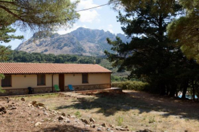 Гостиница Agriturismo Bosco Pianetti  Джибильманна